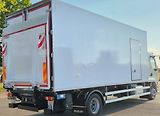 DAF LF (2019) 260 chlaďák EURO 6 - náhled 3