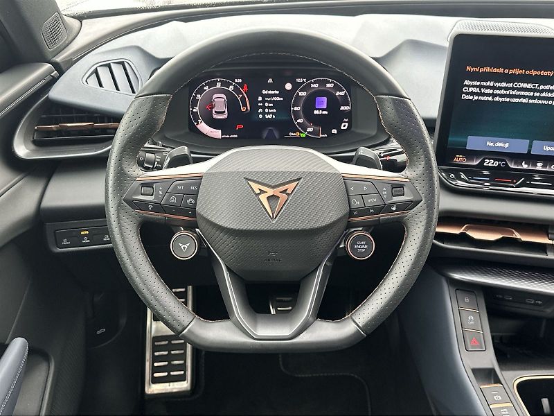 Cupra Terramar (2025) 2.0 TSI 4Drive DSG - fotka 6 z 34