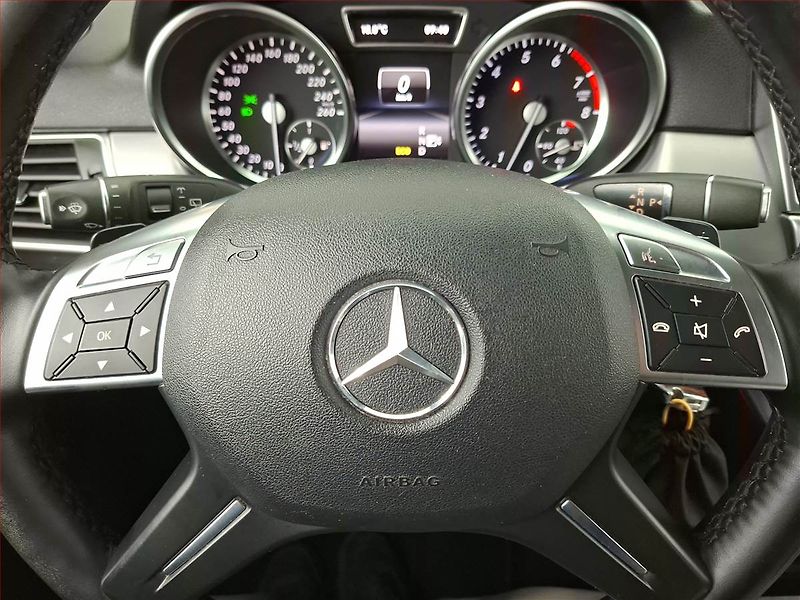 Mercedes-Benz Třídy M (2013) ML 350, 4X4, Automat, Kůže - fotka 18 z 22