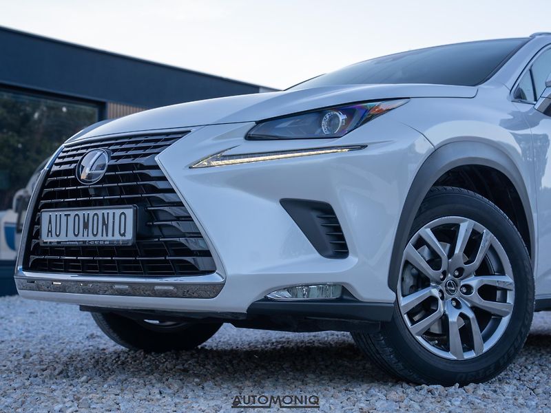 Lexus NX 300h (2020) 2.5 Hybrid AWD adaptív, Navi - fotka 18 z 19