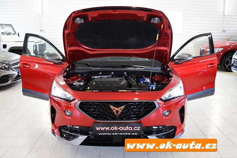 Cupra Formentor 2.0 TDI 4x4 DSG 33 000 KM - fotka 60 z 66