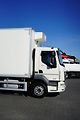DAF LF (2022) 260 / ACC / EURO 6 / CHŁODNIA  - náhled 27