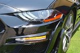 Ford Mustang (2019) 2.3 EcoBoost Convertible - náhled 17