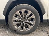 Toyota RAV4 2.5HEV, ČR, Executive Sky, 4x4 - náhled 10