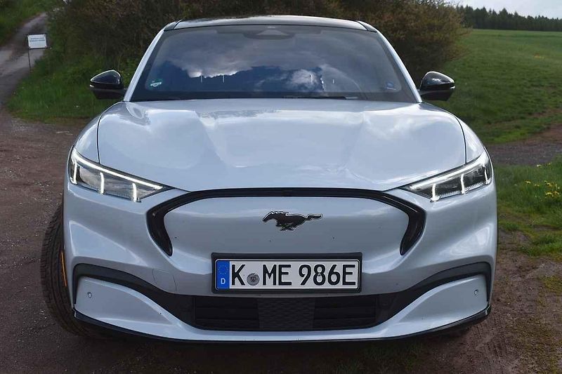 Mustang jsme ukázali i koním chovaným na farmě