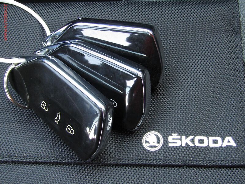 Škoda Octavia (2020) 2.0 TDi 4x4, ČR, RS, DSG, LED - fotka 22 z 22