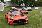 Za vozy značky Mercedes-Benz je třeba vyrazit na zadní louku. Je tu i speciální expozice vozů řady Black Series