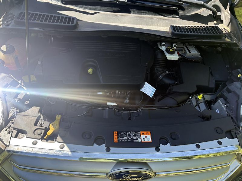 Ford Kuga (2019) Titanium 2.0 TDCi 4X4  - fotka 19 z 37