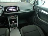 Škoda Karoq (2021) 2.0 TDI - náhled 8