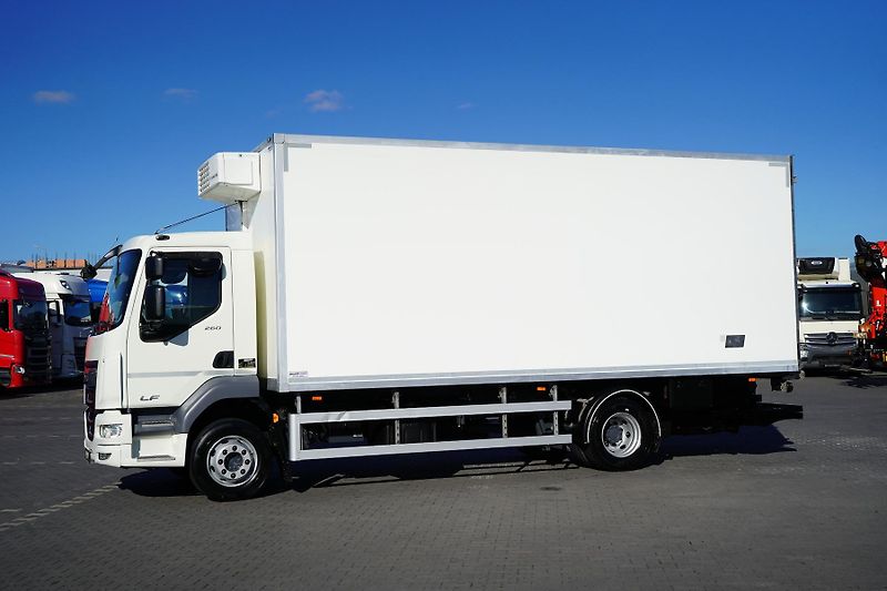 DAF LF (2022) 260 / ACC / EURO 6 / CHŁODNIA  - fotka 3 z 41