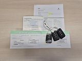 Škoda Superb Combi 2,0TDi DSG 110kw 17ALU - náhled 19