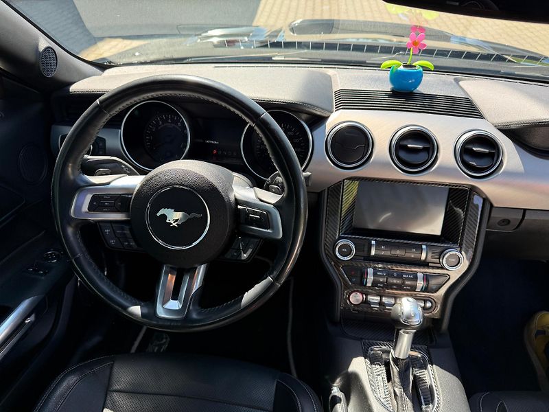 Ford Mustang (2018) GT5.0 AT FACELIFT SHELBY paket - fotka 8 z 14