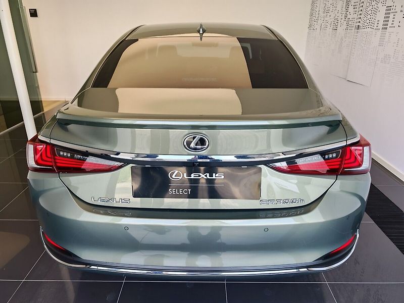 Lexus ES 300h Limited Edition - fotka 5 z 37