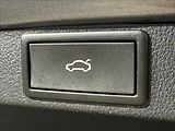 Škoda Octavia 2,0 TDi  DSG Tour Virtual LED - náhled 13