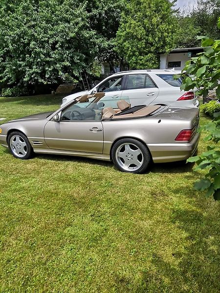 Mercedes-Benz SL (2001) 5.0 /225kW - fotka 6 z 13