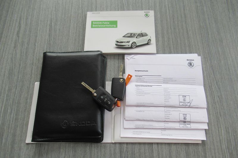 Škoda Fabia 1.2 TSi KLIMA VYHŘ. SEDADLA - fotka 22 z 22