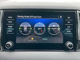 Škoda Karoq (2022) 2.0TDi 4x4! DSG! Style+! Tažné - náhled 39