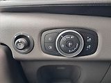 Ford Transit (2021) 2.0 EcoBlue, Sklápěč - náhled 12