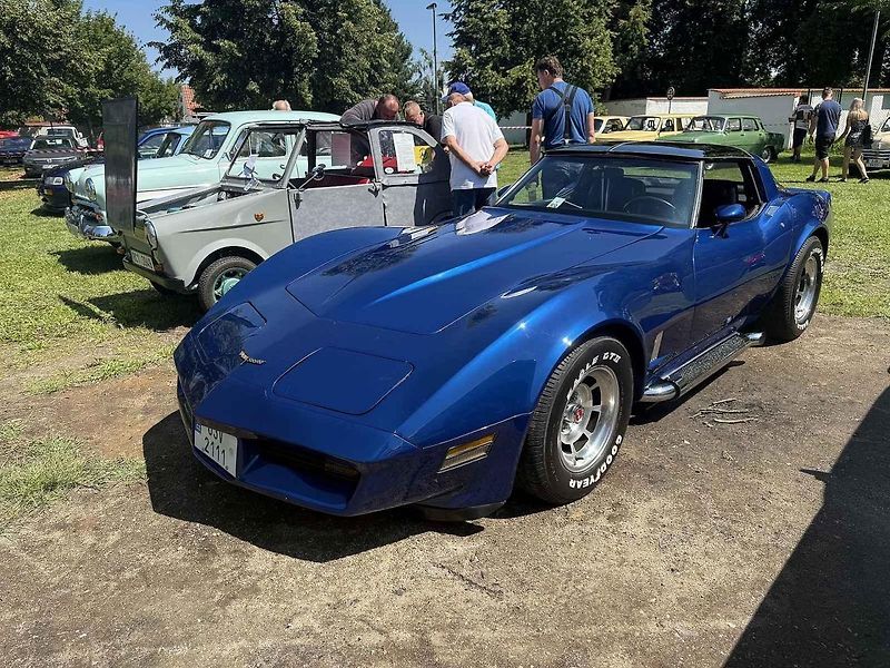 Návštěvníci akce mohli obdivovat kolem 140 historických automobilů, motorek i traktorů.