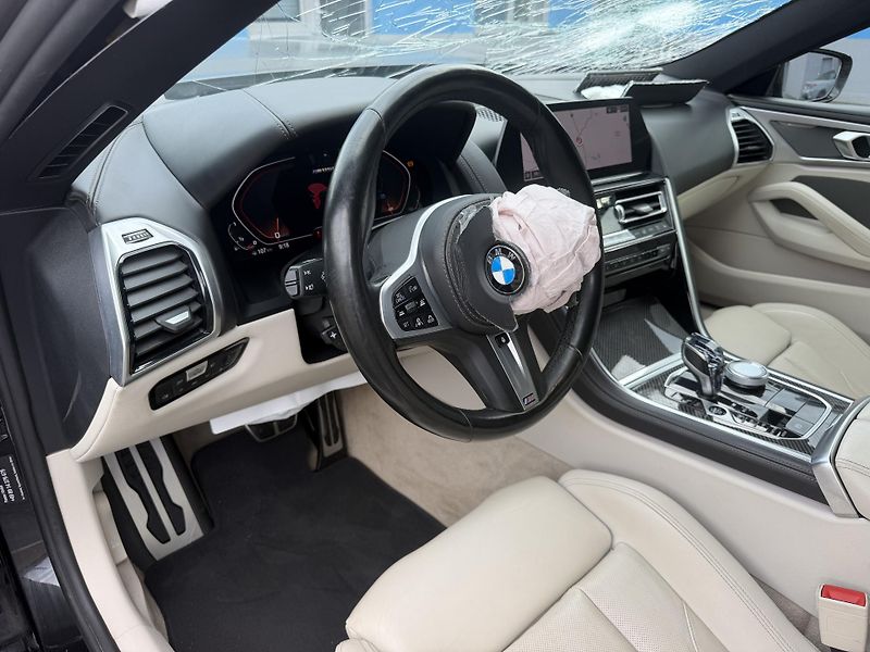 BMW Řada 8 M 850i xDrive 390kW HEAD-UP  - fotka 13 z 25