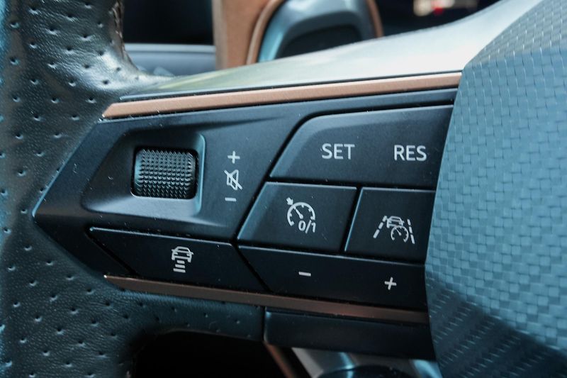 Cupra Formentor VZ 2.0 TSI, Remus, Beats, PPF - fotka 19 z 38