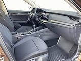 Škoda Octavia (2024) Combi Active 2,0TDI 115k - náhled 6
