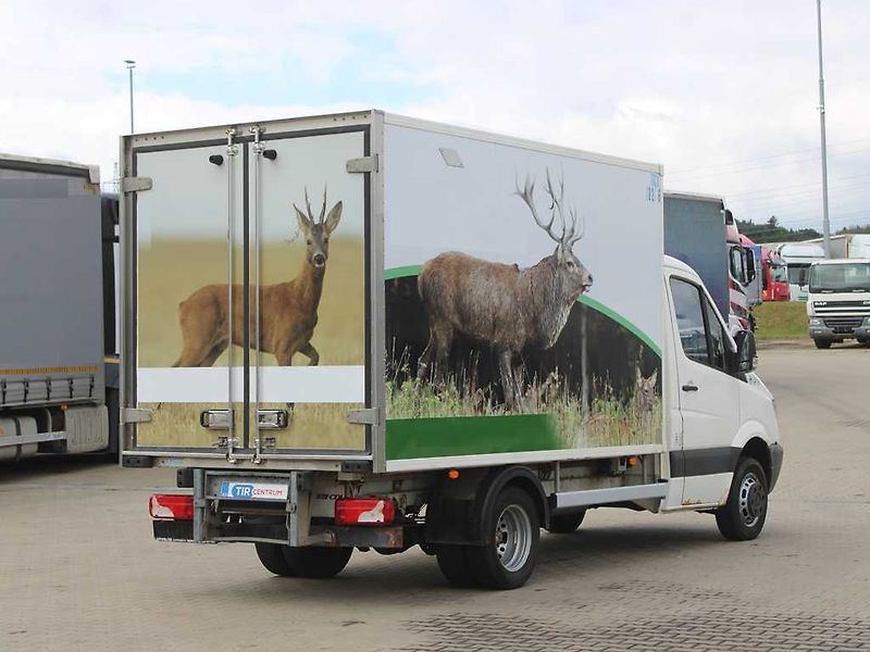 Mercedes-Benz SPRINTER 411 CDI, THERMO KING, - fotka 3 z 16