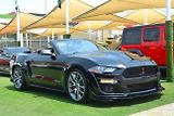 Ford Mustang (2019) 2.3 EcoBoost Convertible - náhled 3
