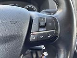 Ford Transit 2,0 EcoBlue 125kW Trend L4 - náhled 32