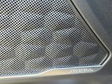 Hyundai Santa Fe 2.2-DPH-V ZÁRUCE-PO SERVISU - náhled 19