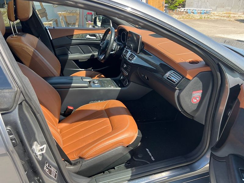 Mercedes-Benz CLS GLS 250 D - fotka 9 z 15