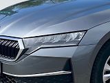 Škoda Octavia (2025) OCT.COMBI SELECTION 2,0 TDI 85 - náhled 18