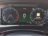 Škoda Octavia (2021) 2.0 TSi 4x4 4x4, 1.maj,ČR - náhled 22