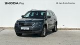 Škoda Kodiaq (2018) STY TD 2.0/140 4X4 A7A - náhled 1