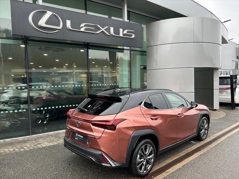Lexus UX 300h (2025) 2.0   F Sport Design Bi- Tone - fotka 6 z 11