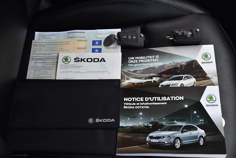 Škoda Octavia 1.4 TSi G-TEC STYLE,LED,NAV,TZ - fotka 49 z 50