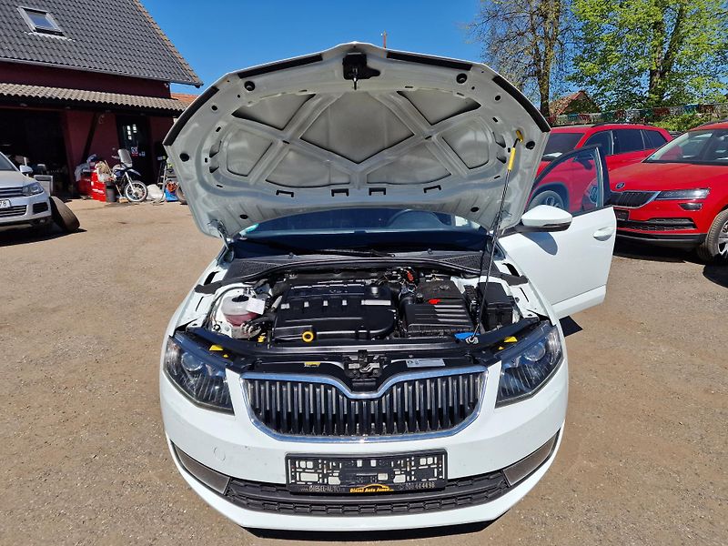 Škoda Octavia 1,6TDI 81KW JOY NAVI - fotka 19 z 19