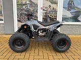 Linhai (2026) ATV 110 - náhled 1