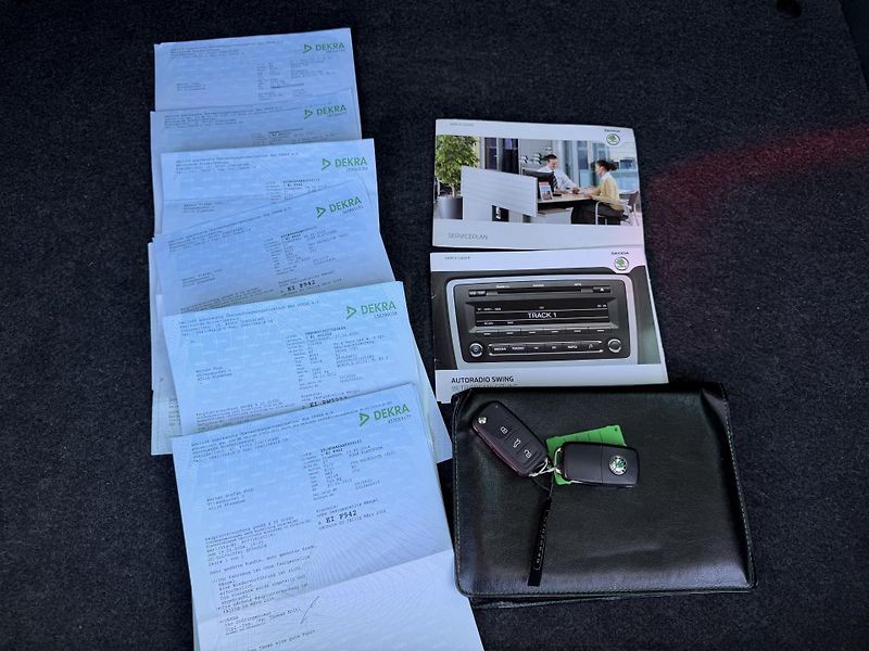 Škoda Roomster 1.2 Tsi, 63kw, 1. majitel - fotka 13 z 13