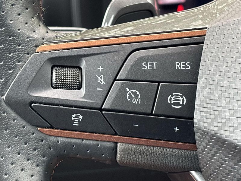 Cupra Formentor (2024) 2.0 TSI 4Drive DSG - fotka 19 z 31