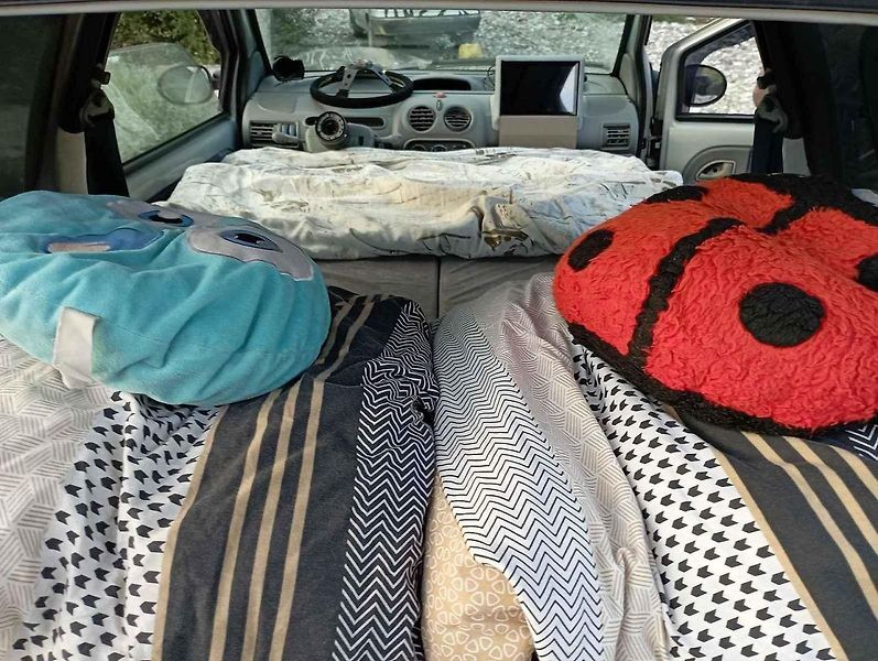 Twingo v akci.