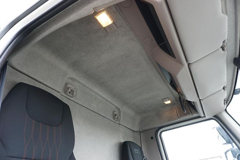 DAF LF (2019) 290 / E 6 / FIRANKA + WINDA /  - fotka 17 z 44