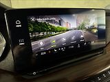 Škoda Octavia 2,0 TDi  DSG 4x4 Scout Virtual - náhled 34