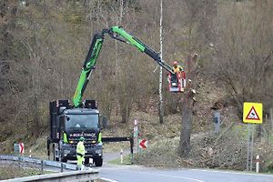 Na serpentinách nyní silničáři kácejí stromy.