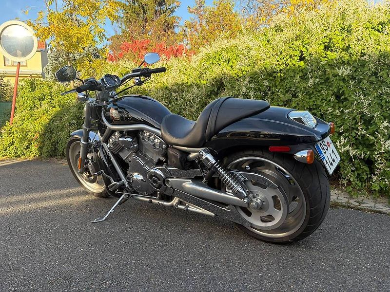 Harley-Davidson VRSCAW V-Rod (2007) - fotka 6 z 14
