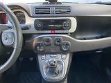Fiat Panda (2019) 1.2i, Cross, výhřev sed - náhled 12