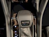 Škoda Karoq (2025) 2.0 TDI 110 kW DSG Sportline - náhled 18