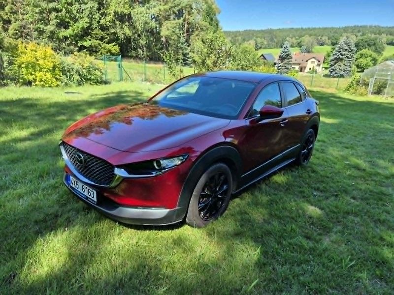 Mazda CX-30 (2019) - fotka 16 z 24