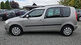 Škoda Roomster 1.4 16V AMBITION+EDITION 1MAJ. - náhled 11