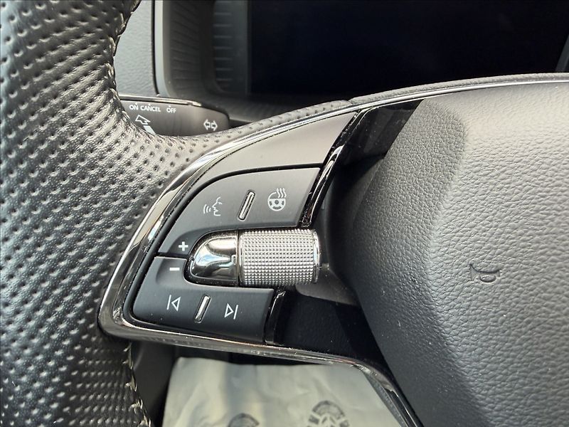 Škoda Karoq 2.0 TDI Sportline Virtual/Full - fotka 16 z 21